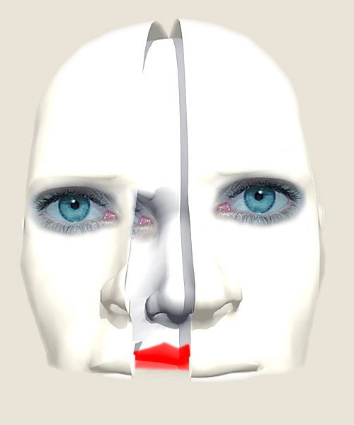viso bianco.jpg - BiPortrait 1996